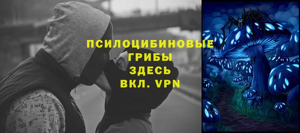 PSILOCYBIN Магадан