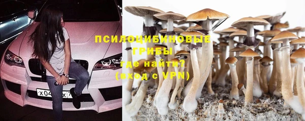 эйфоретик Нижний Тагил