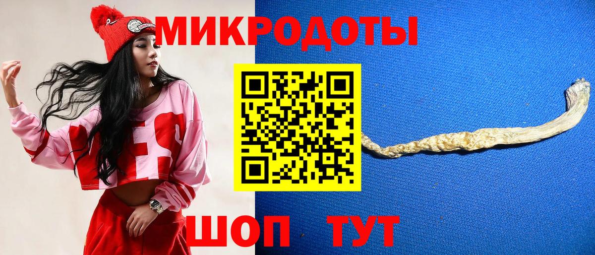 Псилоцибиновые грибы Psilocybe  Галлюциногенные грибы Psilocybine cubensis  Химки 