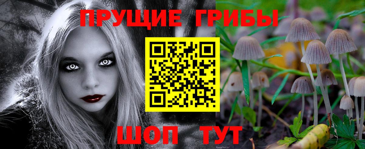 Псилоцибиновые грибы Psilocybe  Вход с VPN  Галлюциногенные грибы Psilocybine cubensis  Химки 
